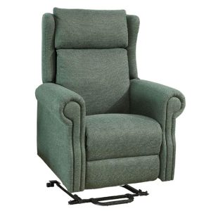 Delby Riser Recliner